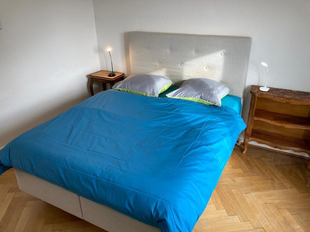 Joli 2 Pieces Dernier Etage, Lausanne Centre Lausana Exterior foto